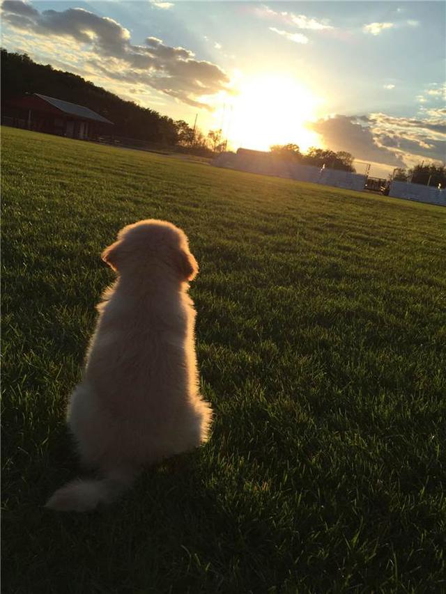 南澳島觀(guān)日出